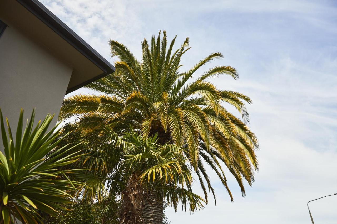 Blenheim Palms Motel Екстер'єр фото